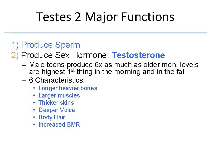 Testes 2 Major Functions 1) Produce Sperm 2) Produce Sex Hormone: Testosterone – Male