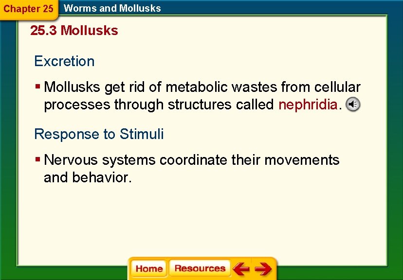 Chapter 25 Worms and Mollusks 25. 3 Mollusks Excretion § Mollusks get rid of