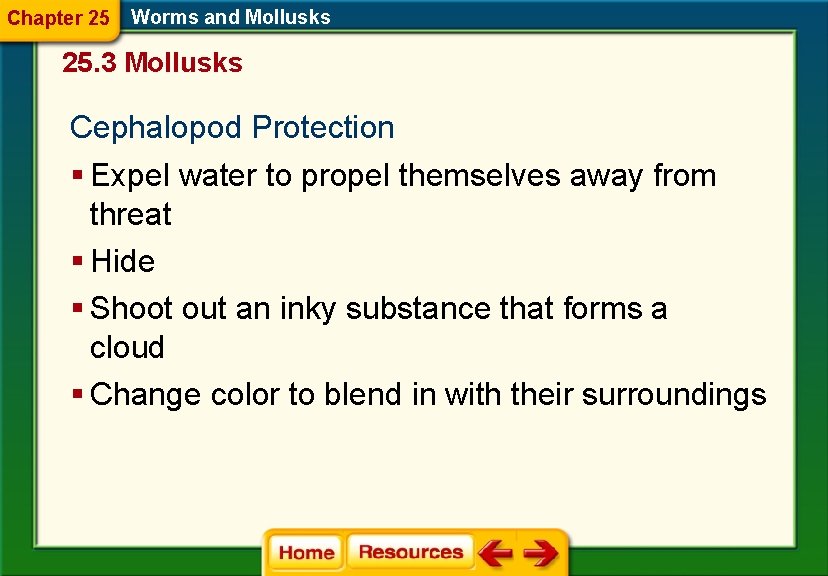 Chapter 25 Worms and Mollusks 25. 3 Mollusks Cephalopod Protection § Expel water to