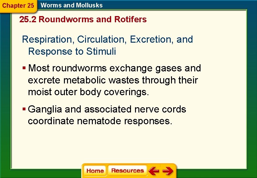 Chapter 25 Worms and Mollusks 25. 2 Roundworms and Rotifers Respiration, Circulation, Excretion, and