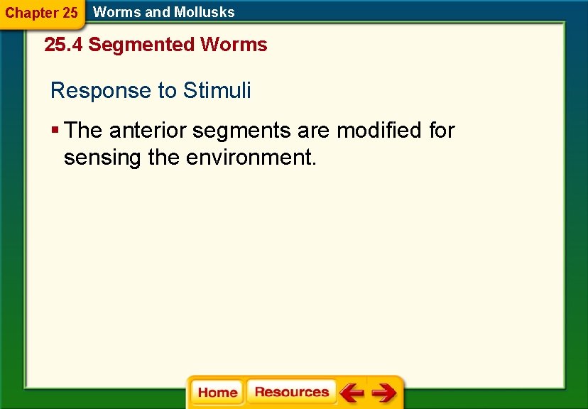 Chapter 25 Worms and Mollusks 25. 4 Segmented Worms Response to Stimuli § The