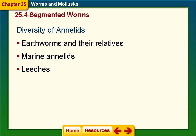 Chapter 25 Worms and Mollusks 25. 4 Segmented Worms Diversity of Annelids § Earthworms