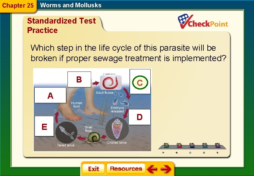 Chapter 25 Worms and Mollusks Standardized Test Practice Which step in the life cycle