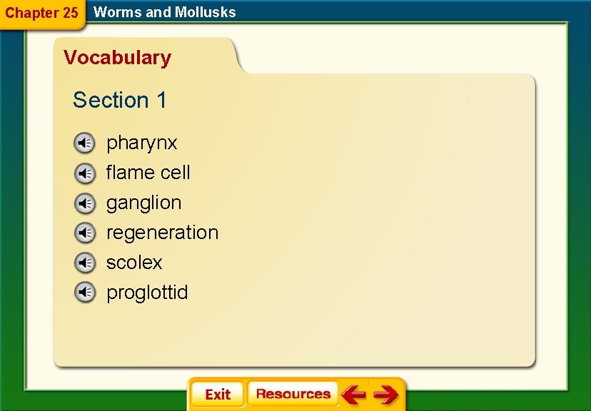 Chapter 25 Worms and Mollusks Vocabulary Section 1 pharynx flame cell ganglion regeneration scolex