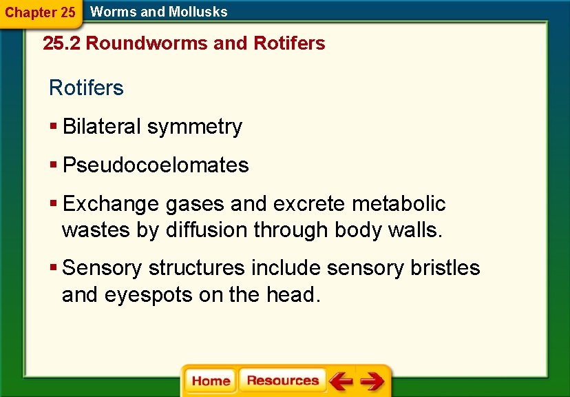 Chapter 25 Worms and Mollusks 25. 2 Roundworms and Rotifers § Bilateral symmetry §