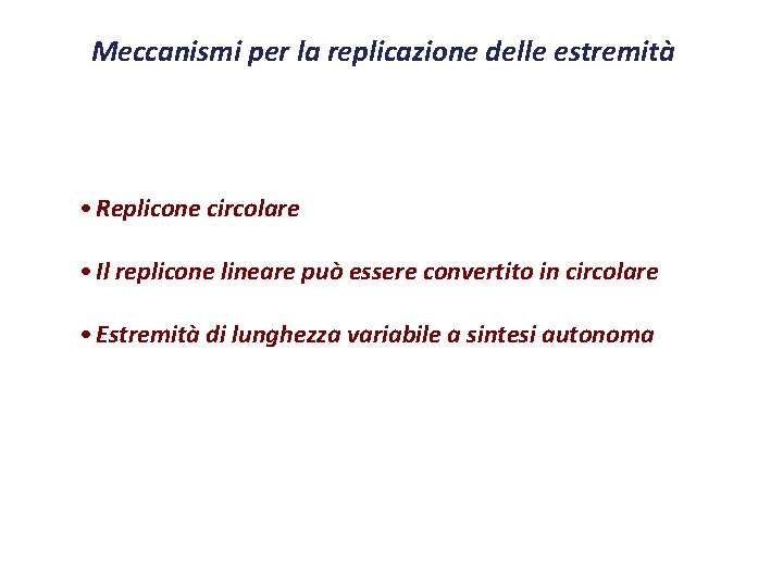 Meccanismi per la replicazione delle estremità • Replicone circolare • Il replicone lineare può