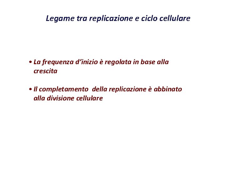 Legame tra replicazione e ciclo cellulare • La frequenza d’inizio è regolata in base