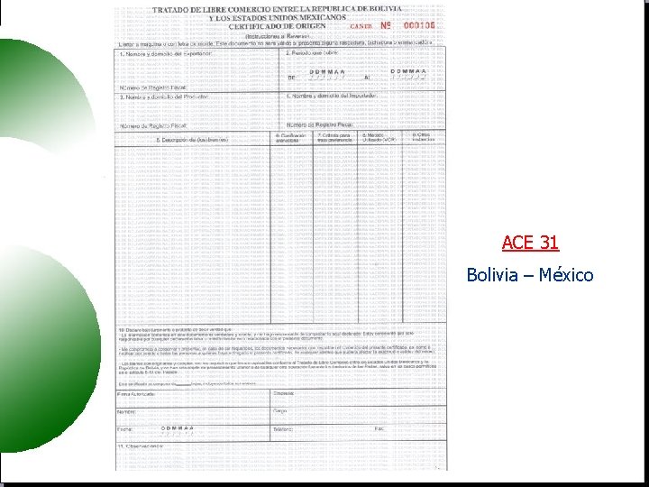 ACE 31 Bolivia – México 