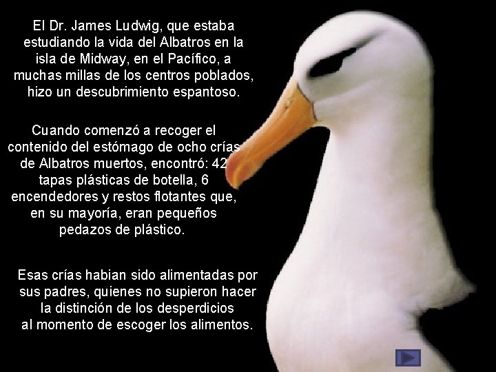 El Dr. James Ludwig, que estaba estudiando la vida del Albatros en la isla