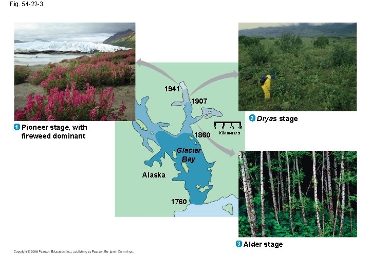 Fig. 54 -22 -3 1941 1907 2 1 Pioneer stage, with fireweed dominant 0