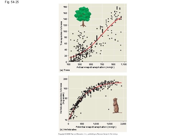 Fig. 54 -25 180 160 Tree species richness 140 120 100 80 60 40