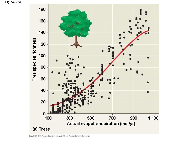 Fig. 54 -25 a 180 160 Tree species richness 140 120 100 80 60