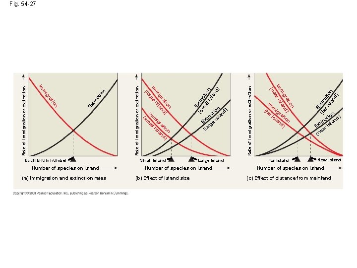 (a) Immigration and extinction rates Small island Large island Number of species on island