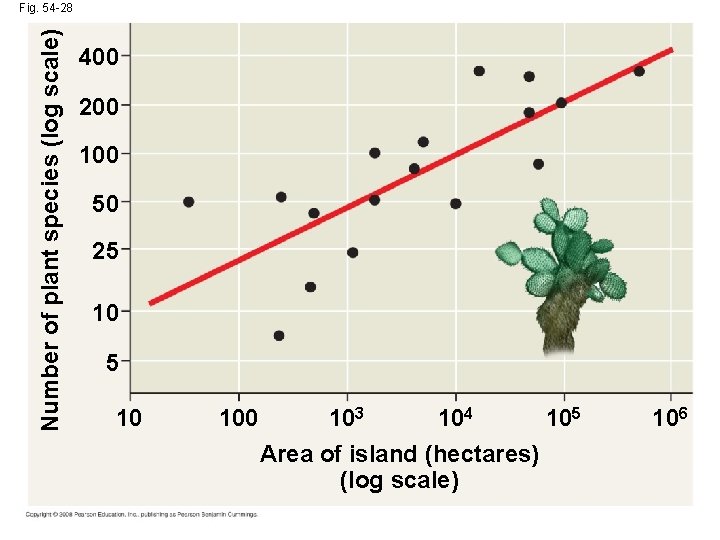 Number of plant species (log scale) Fig. 54 -28 400 200 100 50 25