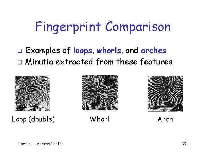 Fingerprint Comparison Examples of loops, whorls, and arches q Minutia extracted from these features