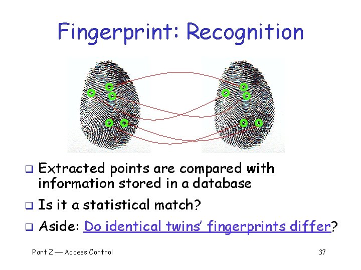 Fingerprint: Recognition q Extracted points are compared with information stored in a database q
