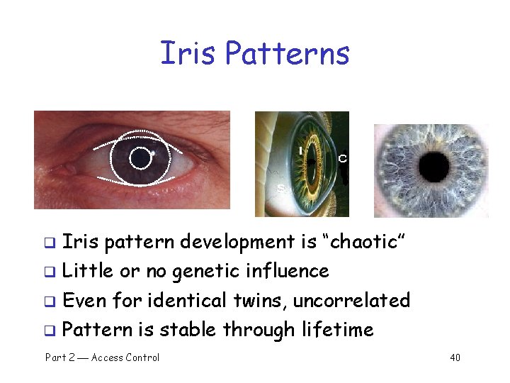 Iris Patterns Iris pattern development is “chaotic” q Little or no genetic influence q
