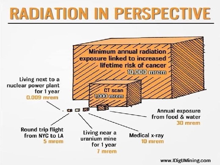 Radiation in Perspective 