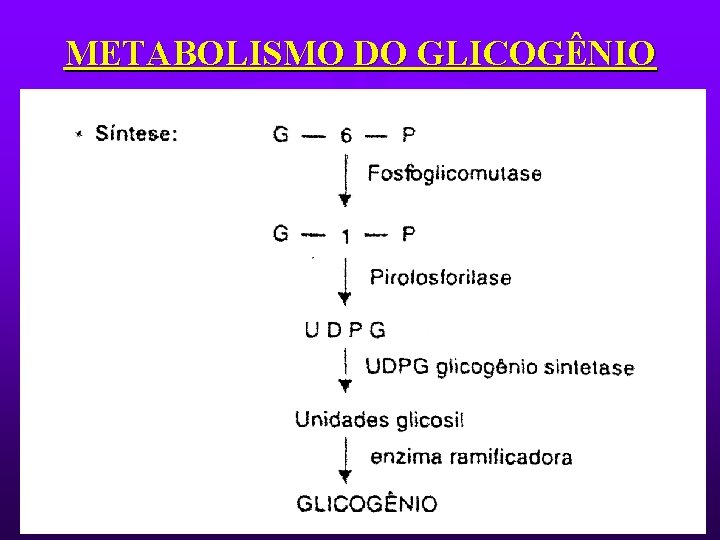 METABOLISMO DO GLICOGÊNIO 