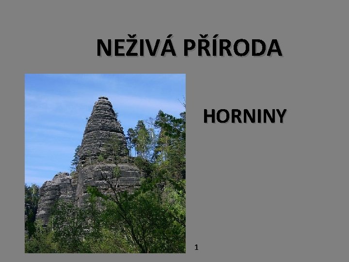 NEŽIVÁ PŘÍRODA HORNINY 1 