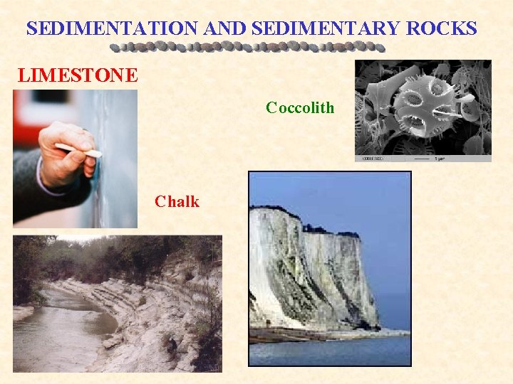 SEDIMENTATION AND SEDIMENTARY ROCKS LIMESTONE Coccolith Chalk 