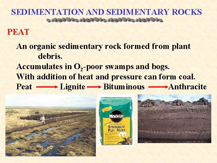 SEDIMENTATION AND SEDIMENTARY ROCKS PEAT An organic sedimentary rock formed from plant debris. Accumulates