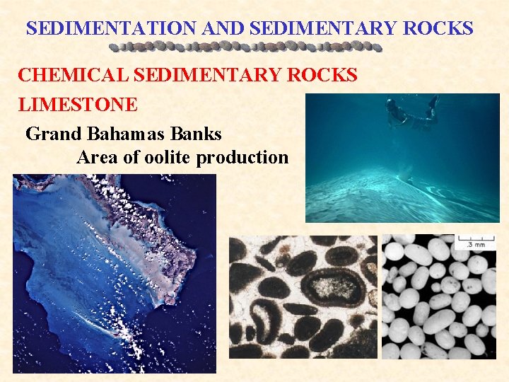 SEDIMENTATION AND SEDIMENTARY ROCKS CHEMICAL SEDIMENTARY ROCKS LIMESTONE Grand Bahamas Banks Area of oolite