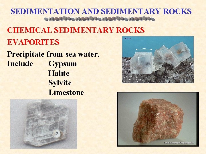 SEDIMENTATION AND SEDIMENTARY ROCKS CHEMICAL SEDIMENTARY ROCKS EVAPORITES Precipitate from sea water. Include Gypsum