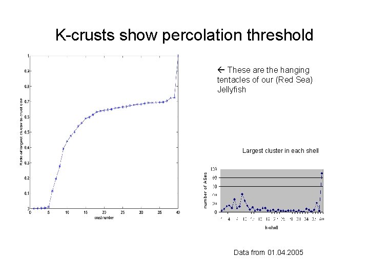 K-crusts show percolation threshold These are the hanging tentacles of our (Red Sea) Jellyfish