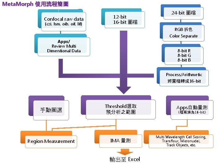 Meta. Morph 使用流程簡圖 Confocal raw data (czi, lsm, oib, oif, lif) 12 -bit 16