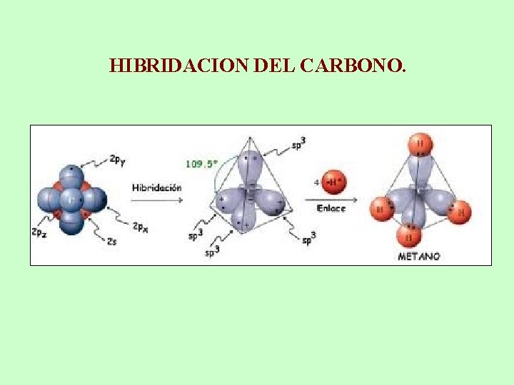 HIBRIDACION DEL CARBONO. 