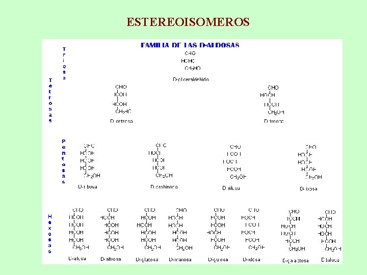 ESTEREOISOMEROS 