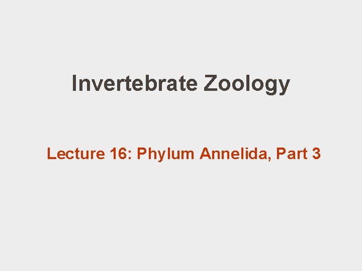 Invertebrate Zoology Lecture 16: Phylum Annelida, Part 3 