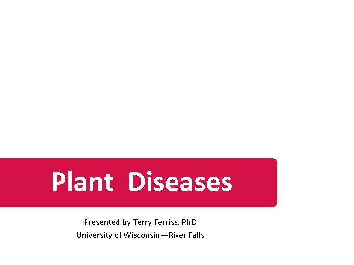 Plant Diseases Presented by Terry Ferriss, Ph. D University of Wisconsin—River Falls 