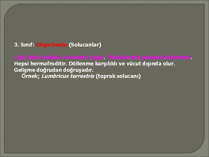 3. Sınıf: Oligochaeta (Solucanlar) Çoğu tatlı sularda ve karada yaşar. Vücutlarında parapod bulunmaz. Hepsi