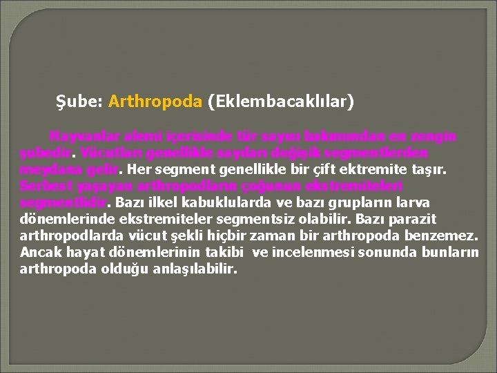 Şube: Arthropoda (Eklembacaklılar) Hayvanlar alemi içerisinde tür sayısı bakımından en zengin şubedir. Vücutları genellikle