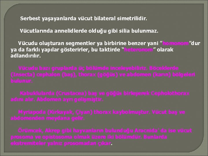 Serbest yaşayanlarda vücut bilateral simetrilidir. Vücutlarında annelidlerde olduğu gibi silia bulunmaz. Vücudu oluşturan segmentler