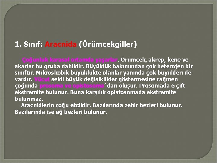 1. Sınıf: Aracnida (Örümcekgiller) Çoğunluk karasal ortamda yaşarlar. Örümcek, akrep, kene ve akarlar bu