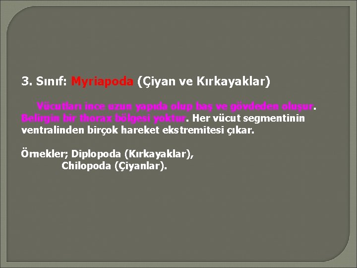 3. Sınıf: Myriapoda (Çiyan ve Kırkayaklar) Vücutları ince uzun yapıda olup baş ve gövdeden