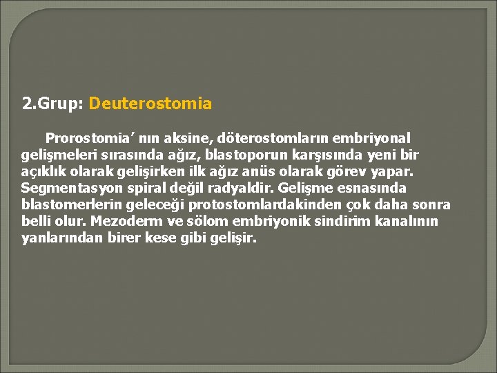 2. Grup: Deuterostomia Prorostomia’ nın aksine, döterostomların embriyonal gelişmeleri sırasında ağız, blastoporun karşısında yeni