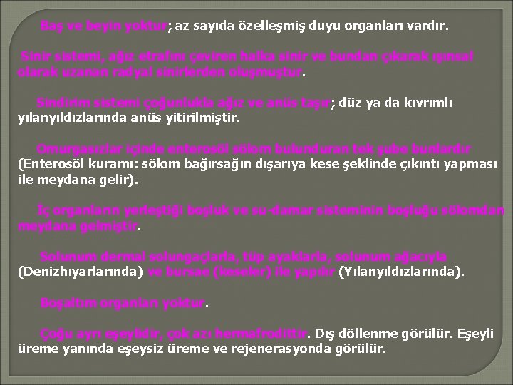 Baş ve beyin yoktur; az sayıda özelleşmiş duyu organları vardır. Sinir sistemi, ağız etrafını