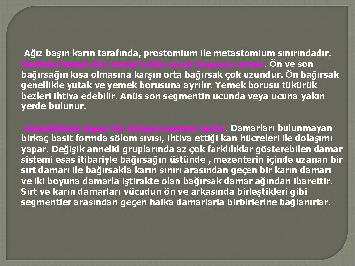 Ağız başın karın tarafında, prostomium ile metastomium sınırındadır. Sindirim kanalı düz olarak bütün vücut