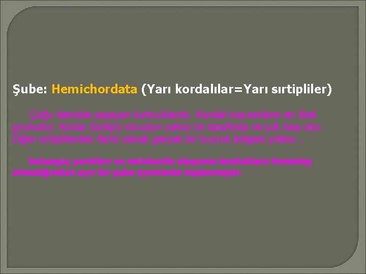 Şube: Hemichordata (Yarı kordalılar=Yarı sırtipliler) Çoğu denizde yaşayan kurtcuklardır. Kordalı hayvanların en ilkel grubudur.