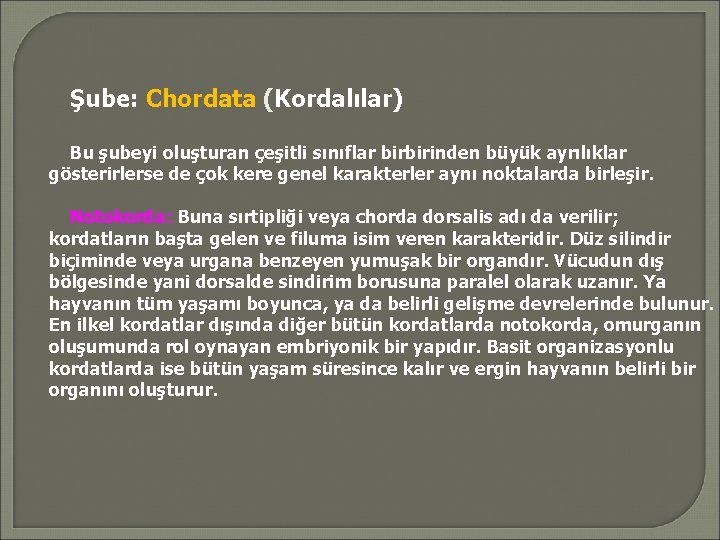 Şube: Chordata (Kordalılar) Bu şubeyi oluşturan çeşitli sınıflar birbirinden büyük ayrılıklar gösterirlerse de çok