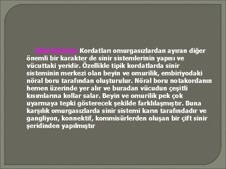 Sinir Sistemi: Kordatları omurgasızlardan ayıran diğer önemli bir karakter de sinir sistemlerinin yapısı ve