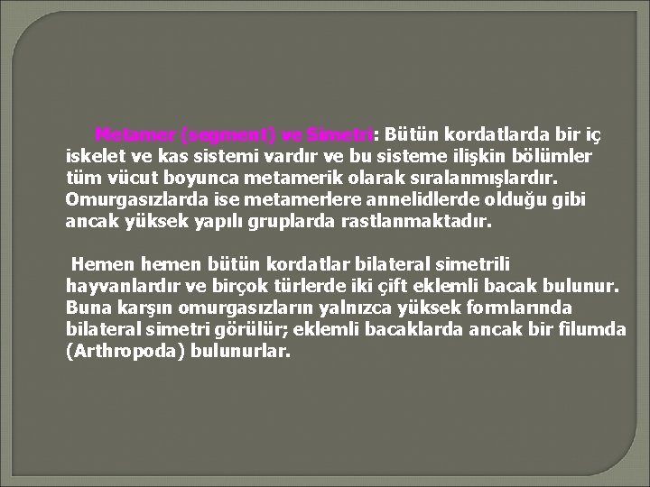 Metamer (segment) ve Simetri: Bütün kordatlarda bir iç iskelet ve kas sistemi vardır ve