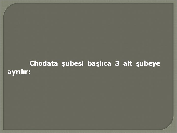 Chodata şubesi başlıca 3 alt şubeye ayrılır: 