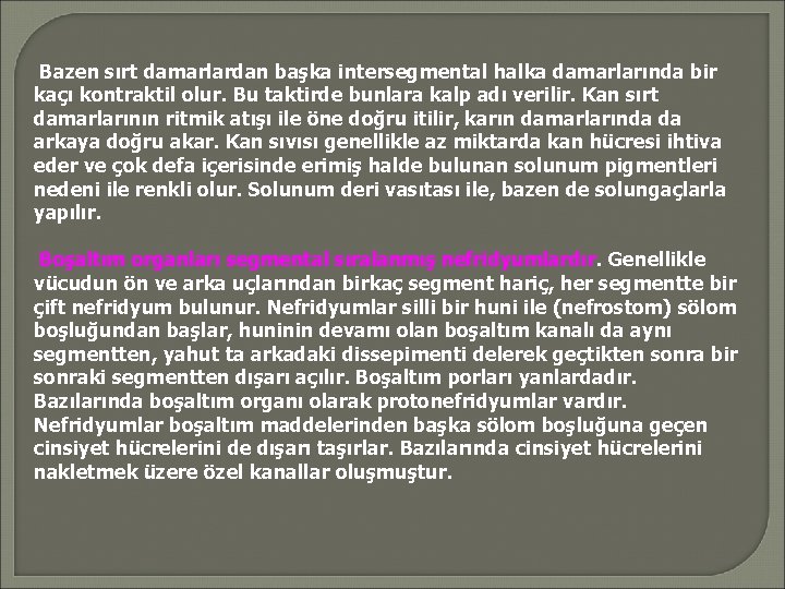 Bazen sırt damarlardan başka intersegmental halka damarlarında bir kaçı kontraktil olur. Bu taktirde bunlara