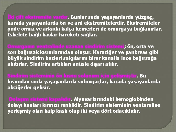 İki çift ekstremite vardır. Bunlar suda yaşayanlarda yüzgeç, karada yaşayanlarda ön ve ard ekstremitelerdir.