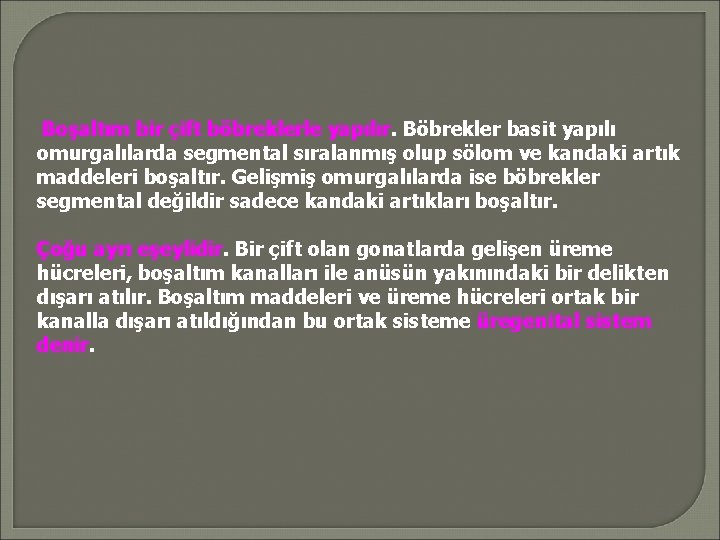 Boşaltım bir çift böbreklerle yapılır. Böbrekler basit yapılı omurgalılarda segmental sıralanmış olup sölom ve